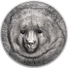 28835_Wildlife Protection 2019 - Mongolian Gobi Bear Ag_r